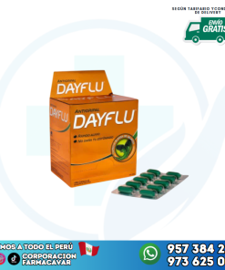Dayflu antigripal