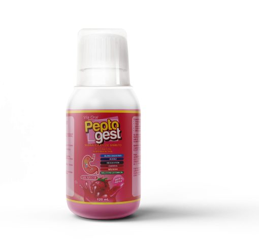 pepto gest 120 ml